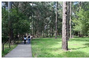 parque carri&ccedil;al 