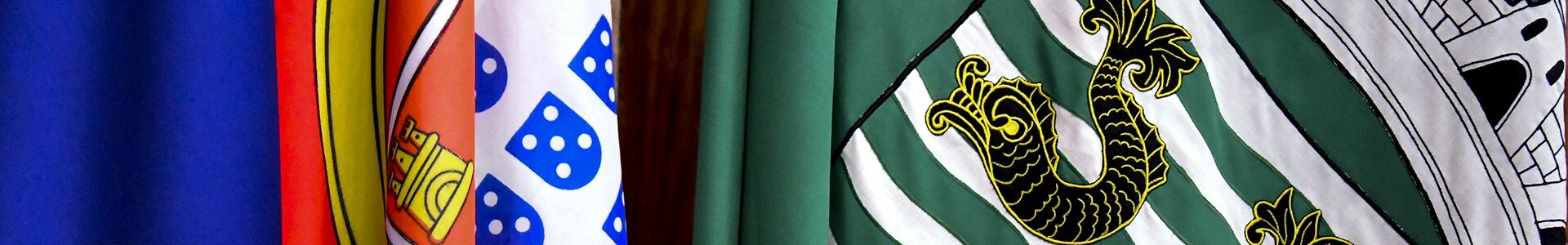 Concelho de Matosinhos