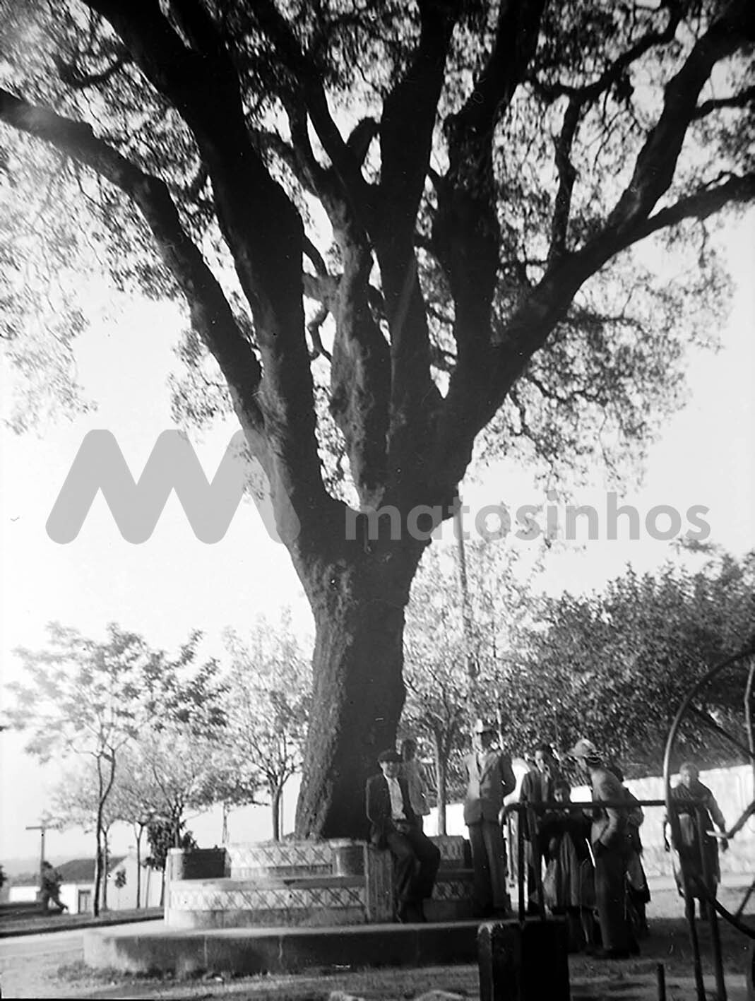 Largo em Guif&otilde;es