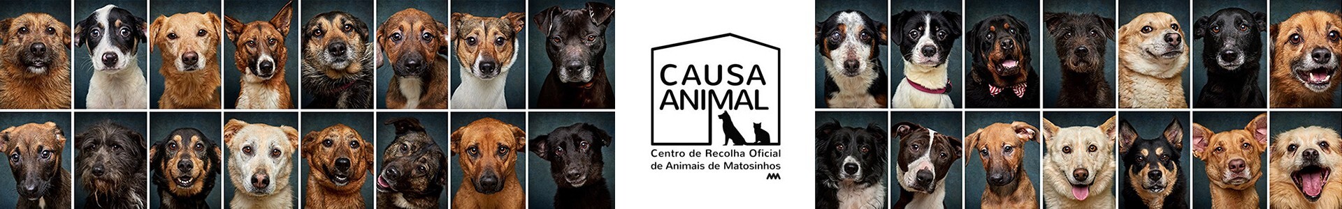 centro de recolha oficial de Matosinhos