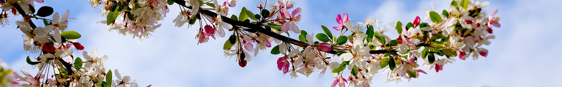 Educa&ccedil;&atilde;o Ambiental