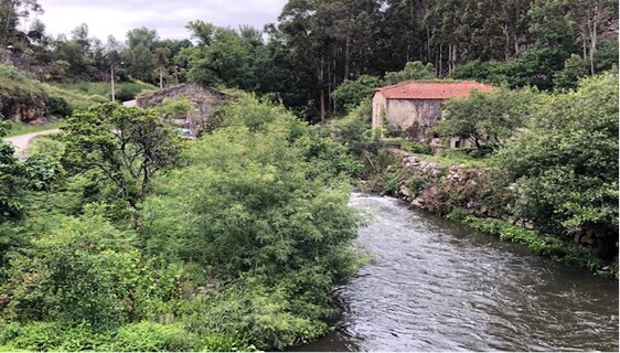 Moinhos na zona envolvente &agrave; Ponte do Carro