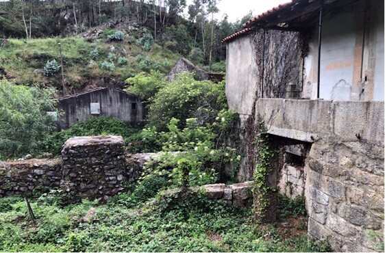 Moinhos na zona envolvente &agrave; Ponte do Carro