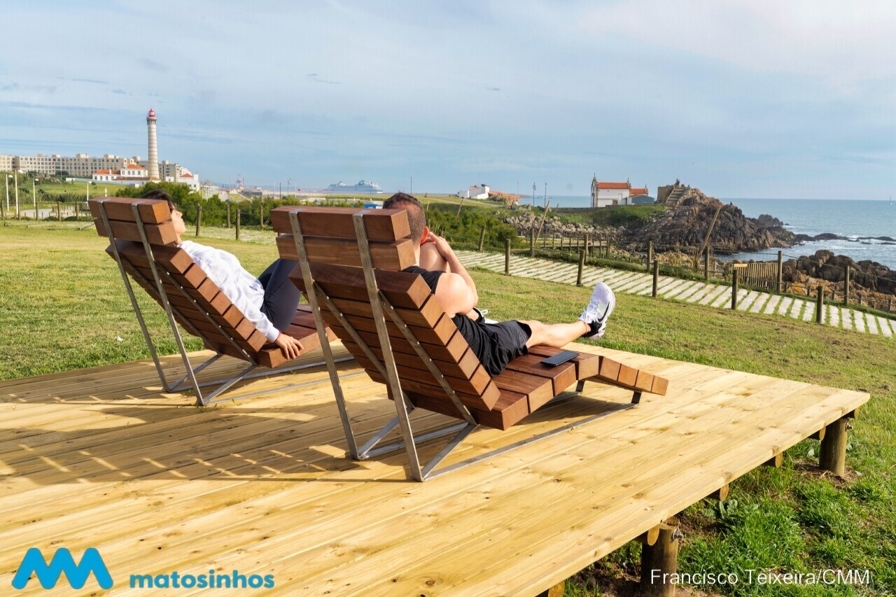 image_161__1_2500_2500