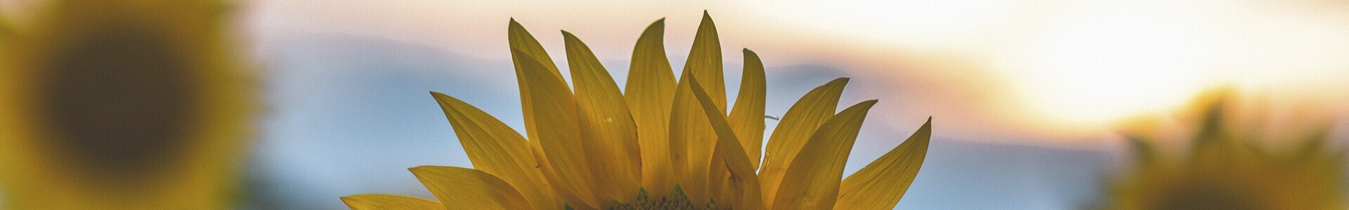 imagem defici&ecirc;ncia