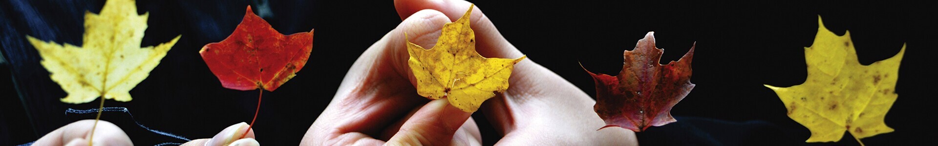 imagem cidadania e igualdade