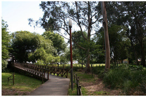   Parque Urbano do Carri&ccedil;al, Parque Manuel Pinto de Azevedo