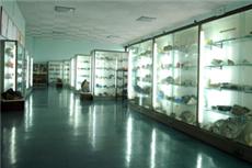 Jazigos Minerais Portugueses