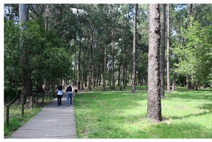 parque carri&ccedil;al 