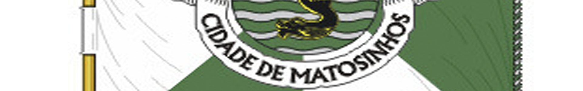 imagem banner Bandeira