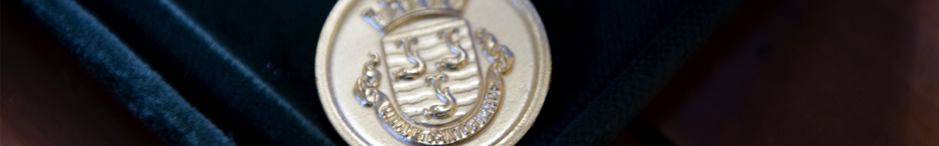 Medalhas Municipais