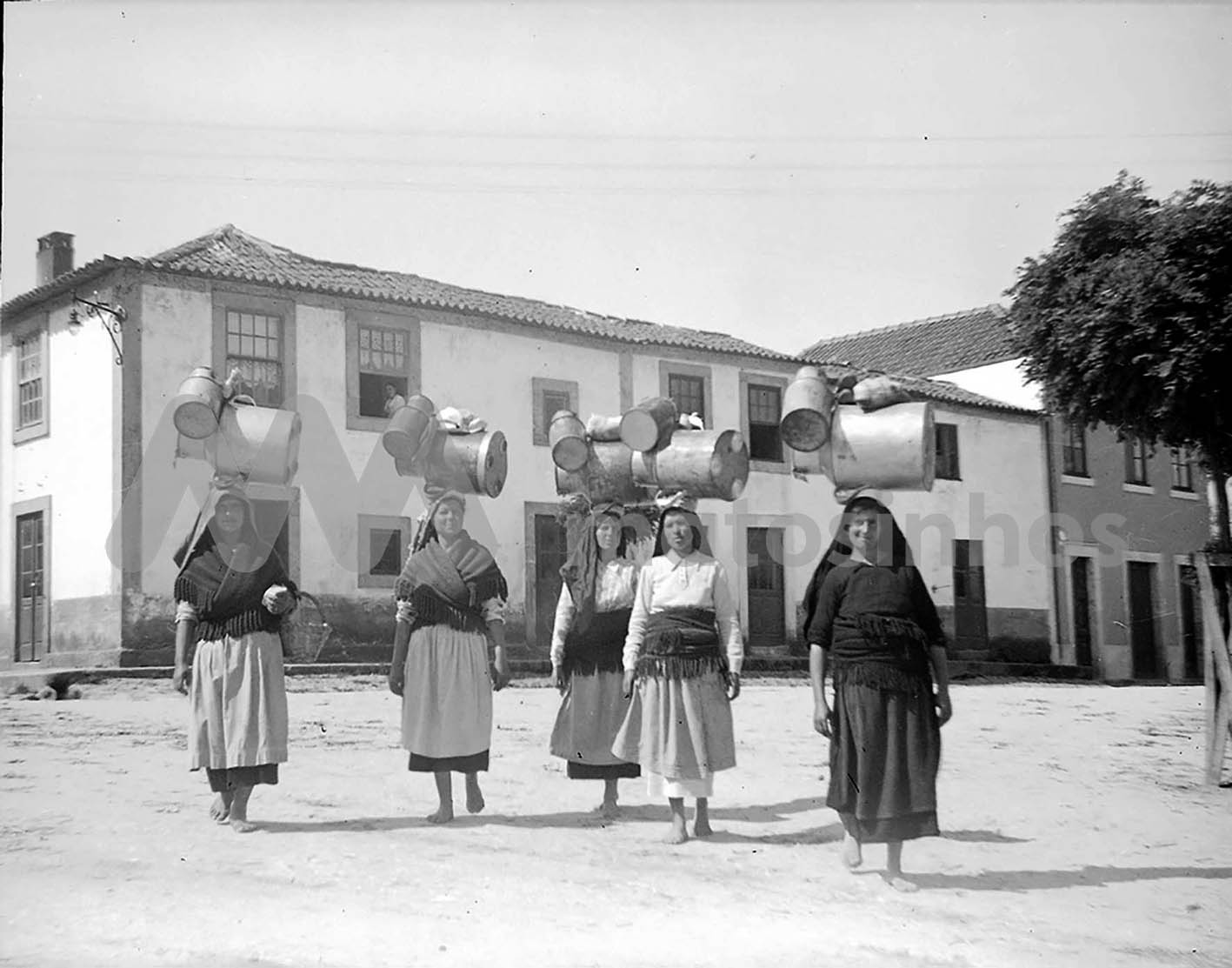 Leiteiras na distribui&ccedil;&atilde;o do leite em Perafita