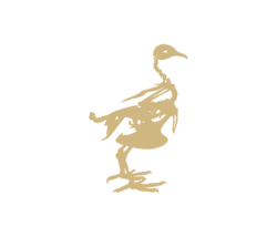 icons_muma-08_E_goncalves_zarco