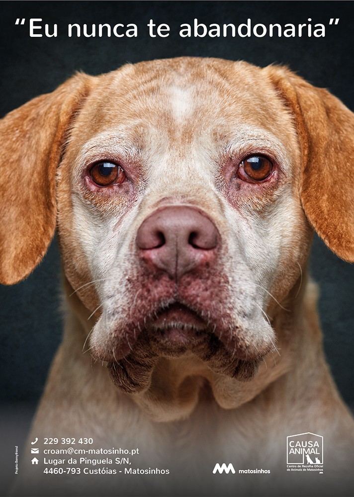 N&atilde;o me abandones