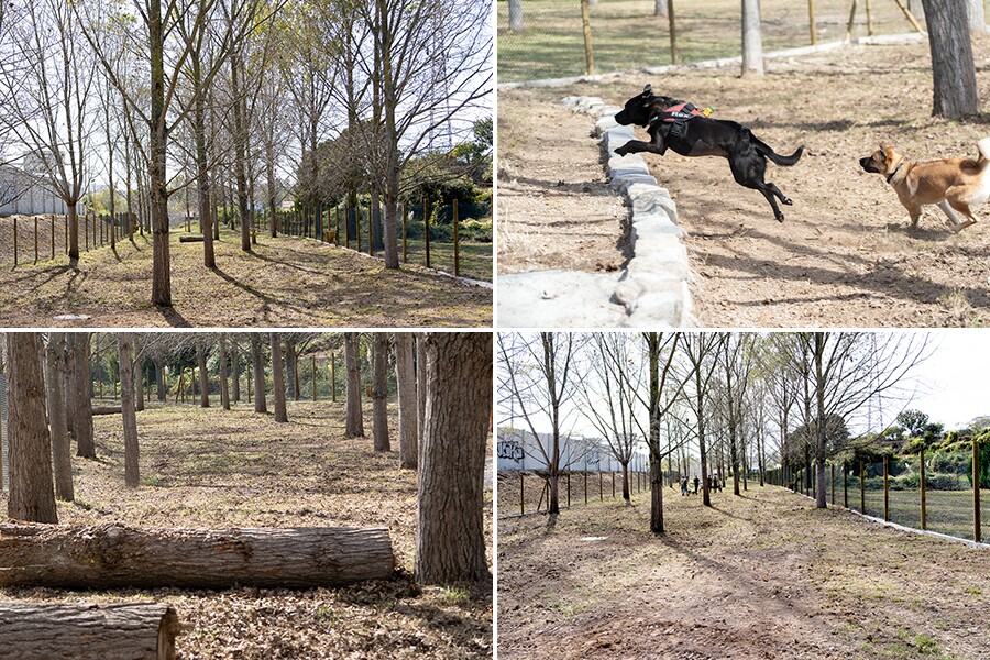 Parque Canino da Seara