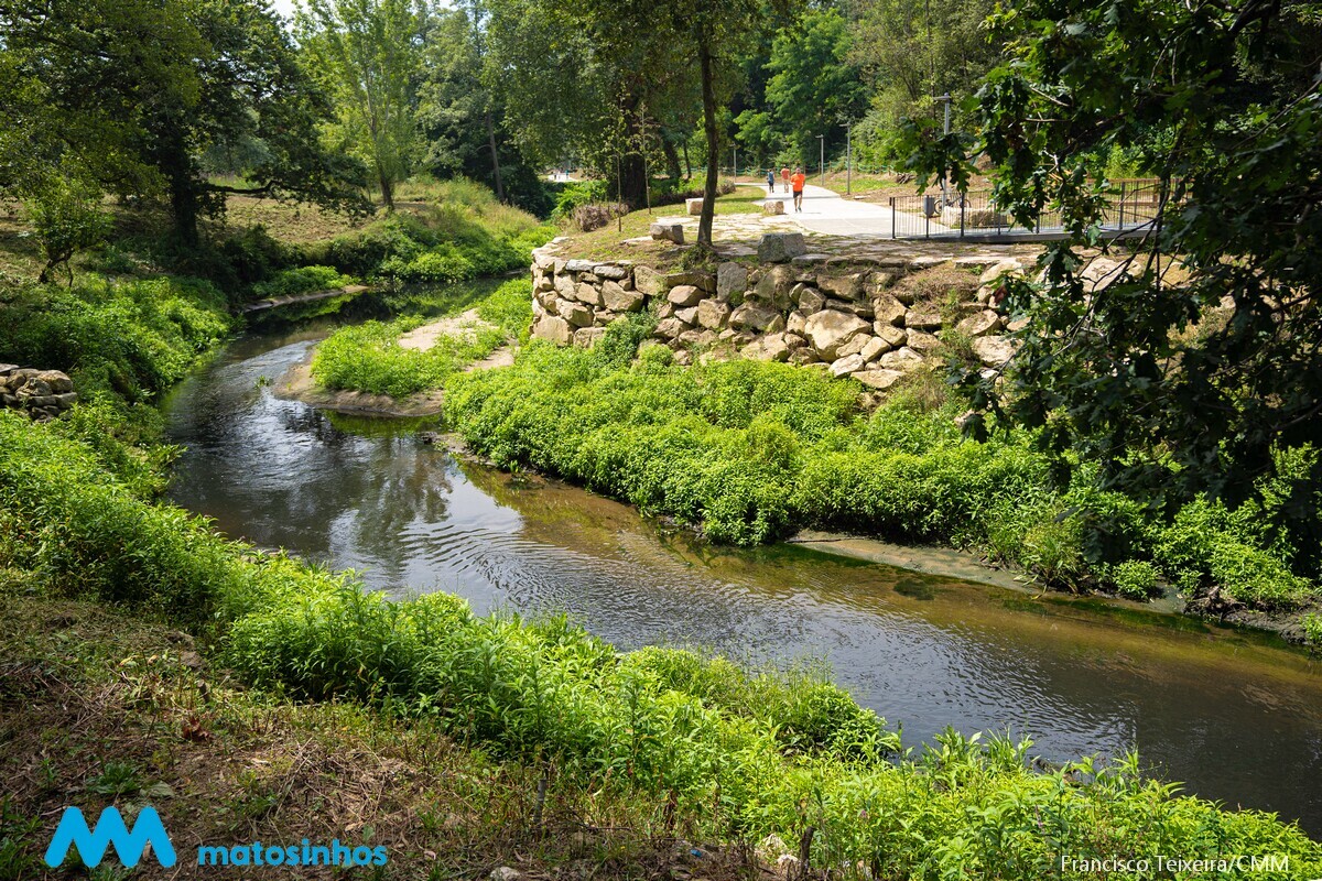 image00043_1_2500_2500