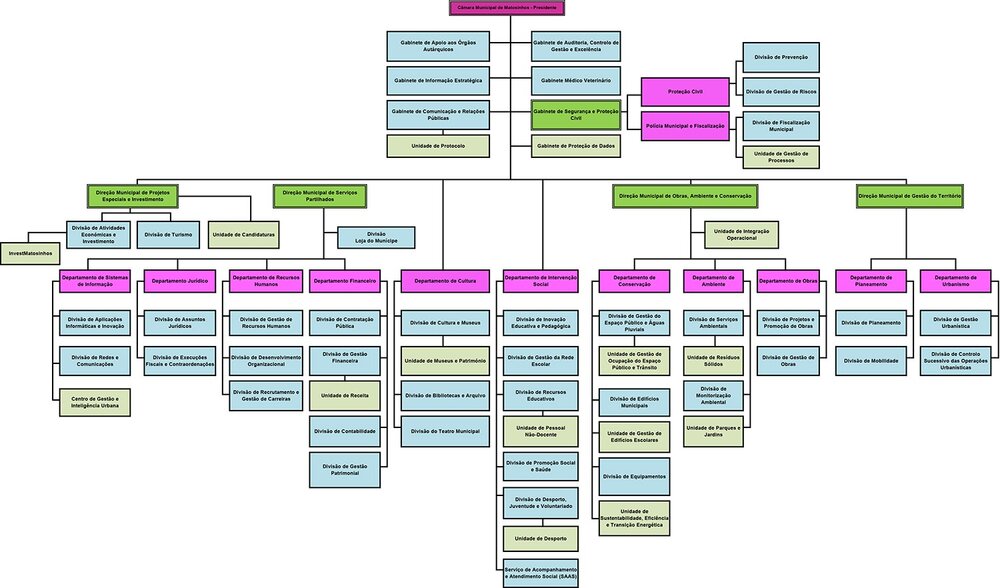 Organograma da C&acirc;mara Municipal de Matosinhos