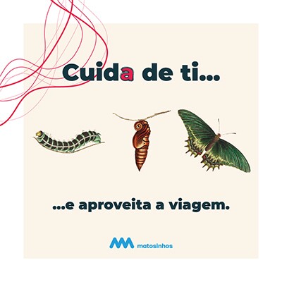 Estilos de Vida Saud&aacute;veis