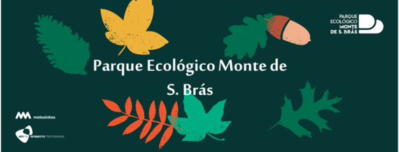 Template_PEMSB_header_frase