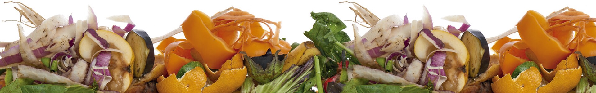 Res&iacute;duos alimentares