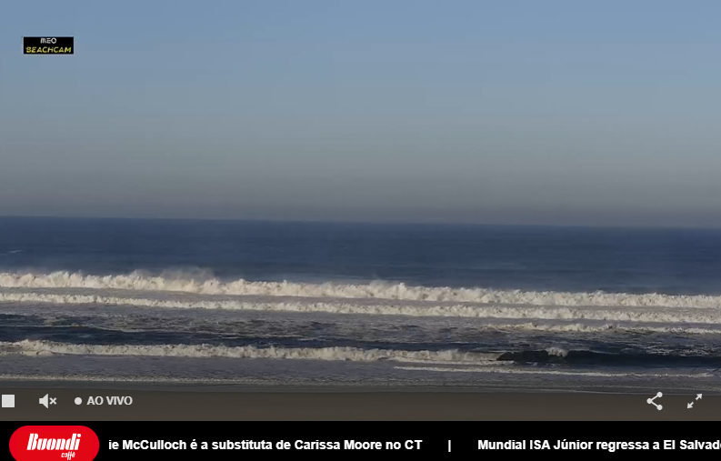 Le&ccedil;a da Palmeira