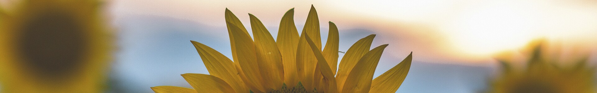 imagem defici&ecirc;ncia