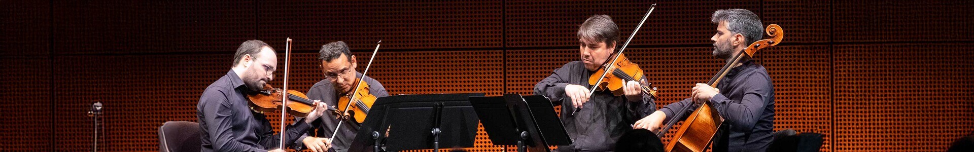 imagem quarteto cordas matosinhos