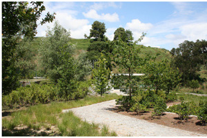 Parque da Ci&ecirc;ncia 